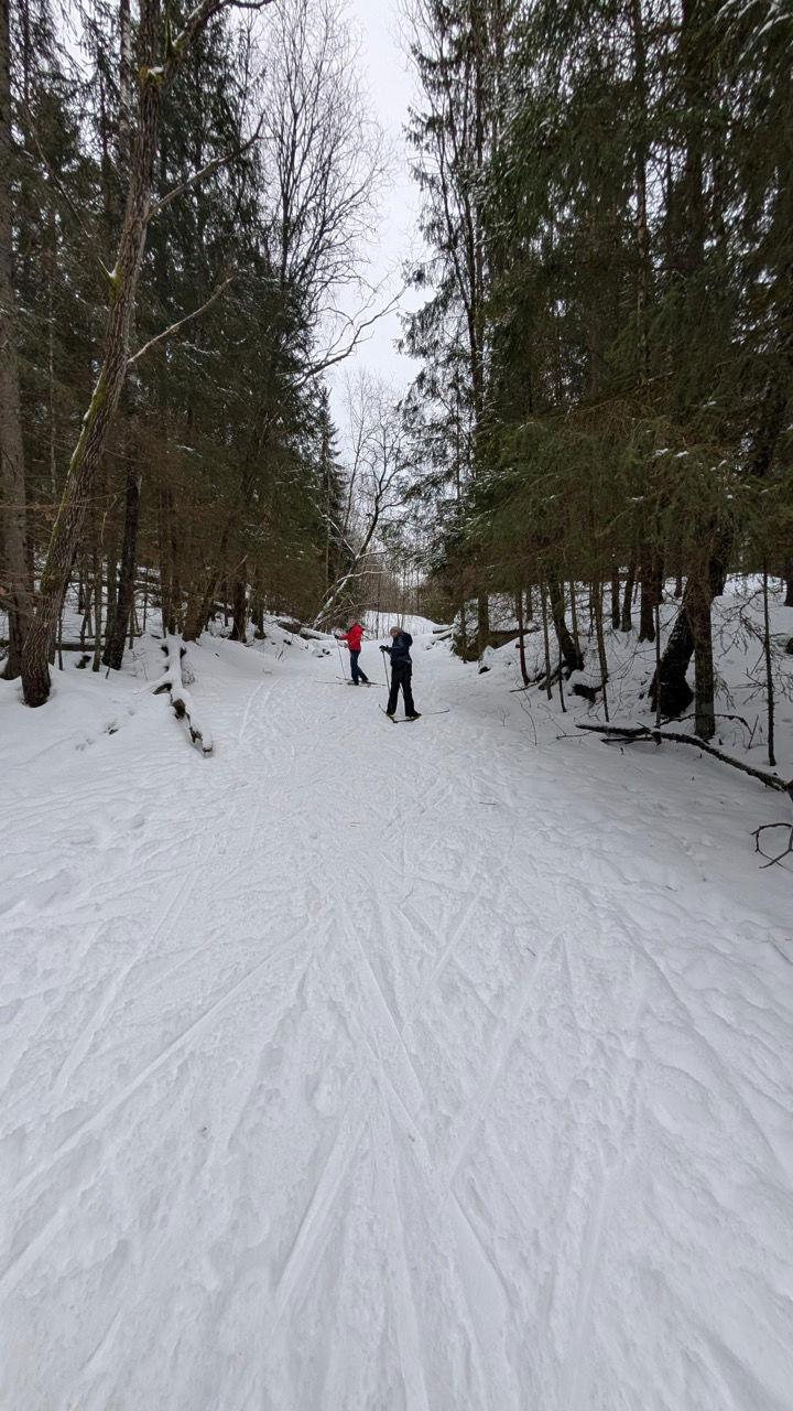 Folk som står på ski på snøen