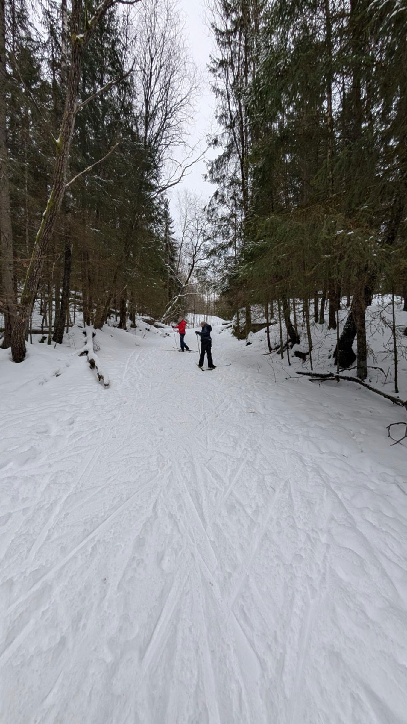 Folk som står på ski på snøen