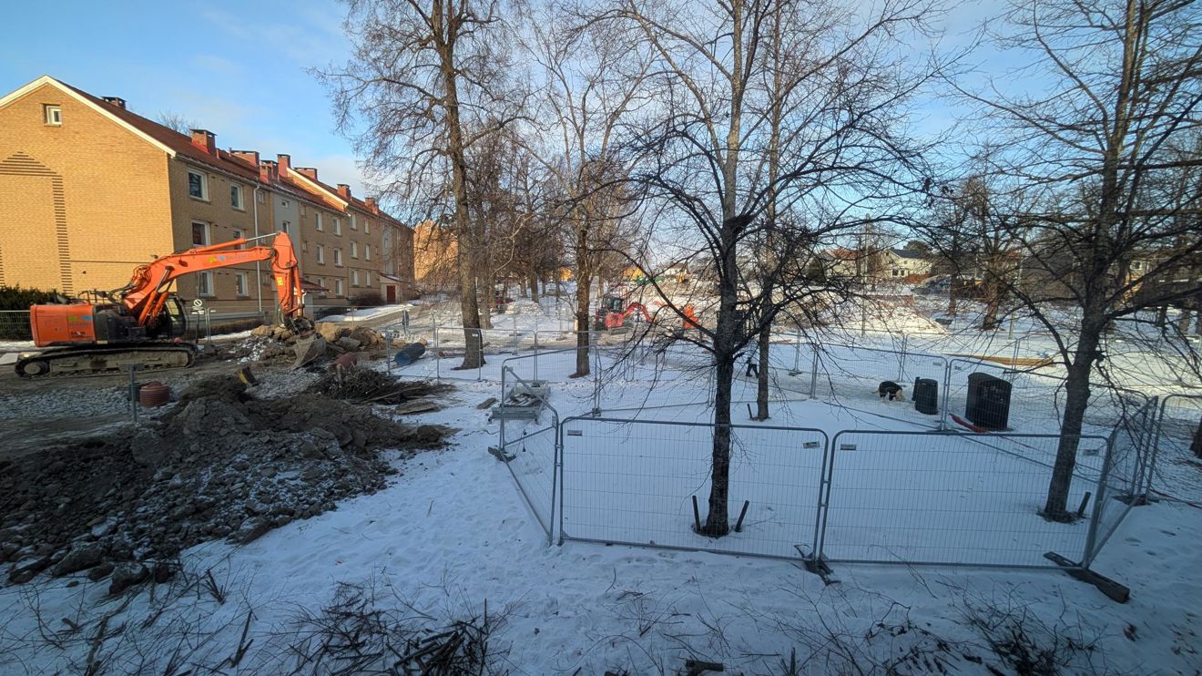 en snødekt hage med trær og gjerde