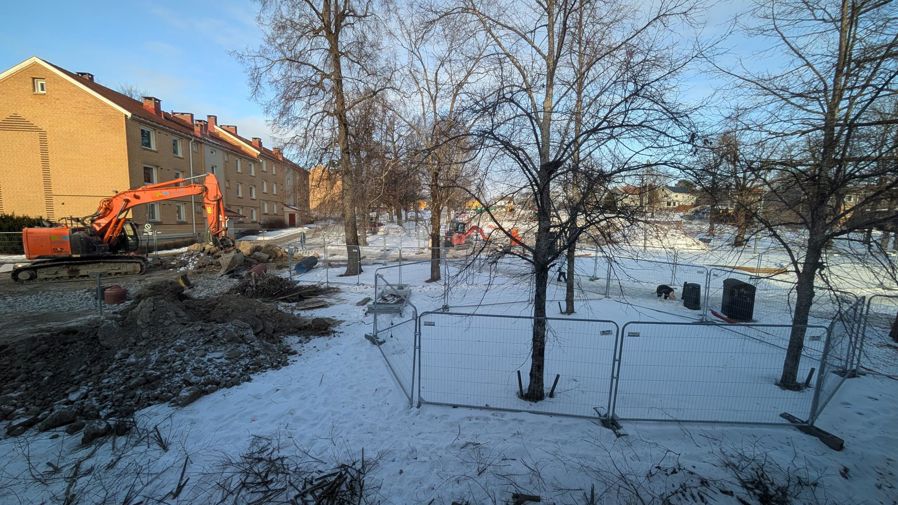 en snødekt hage med trær og gjerde