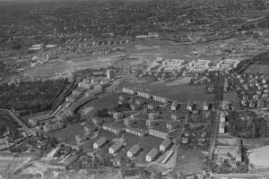 1956